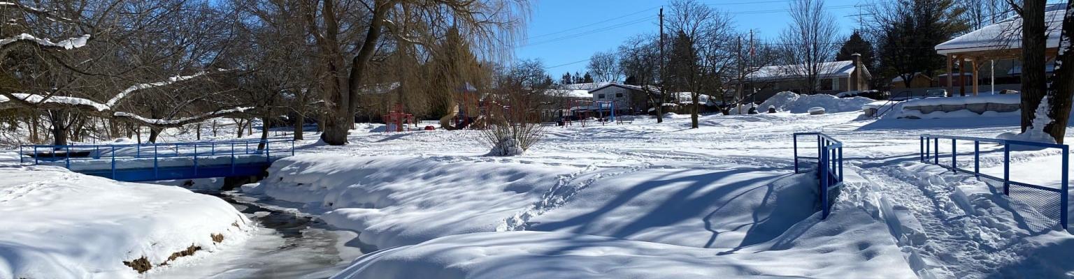 Centennial Park & Lamont Creek