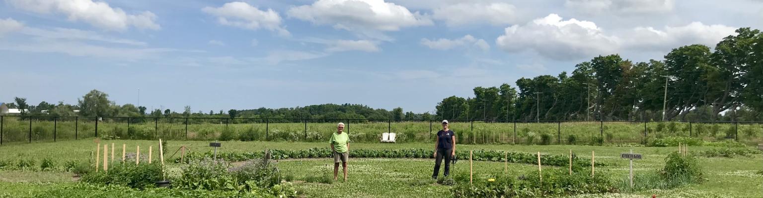 Clearview Community Garden to Receive Huronia Foundation Grant 