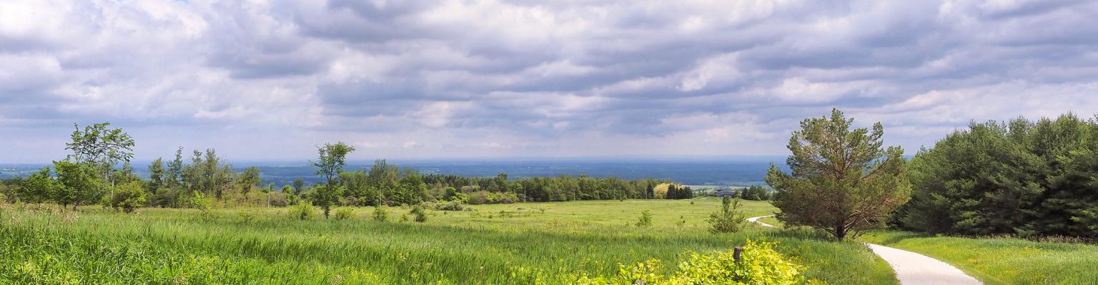 Clearview Township View