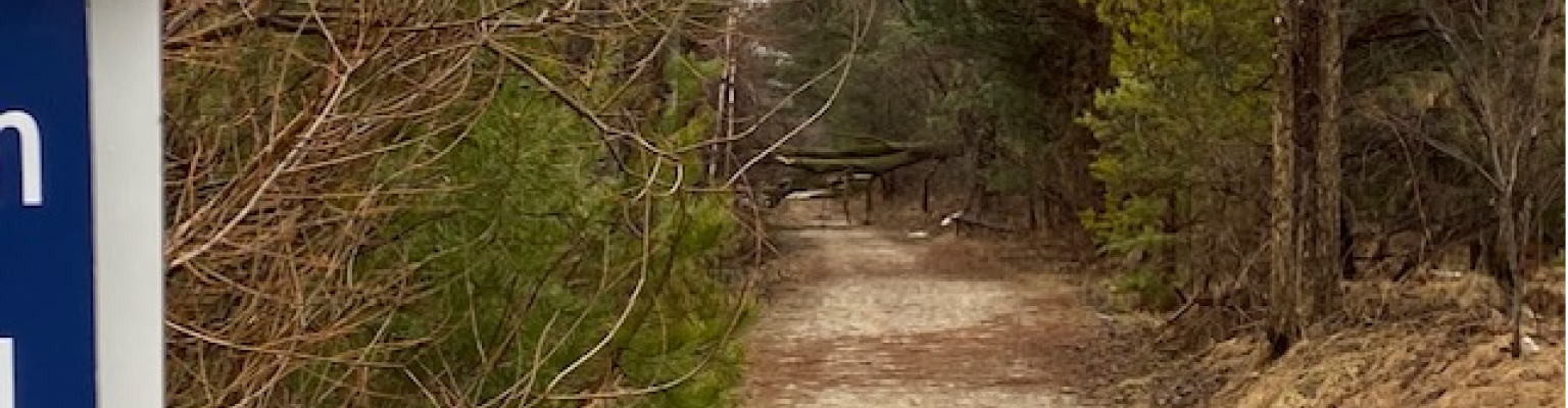 Clearview Centennial Park and Trail Damage - after ice storm March 31 2025