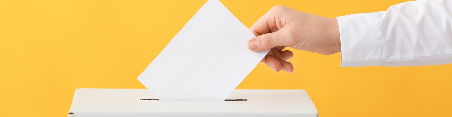 a person voting at a ballot box